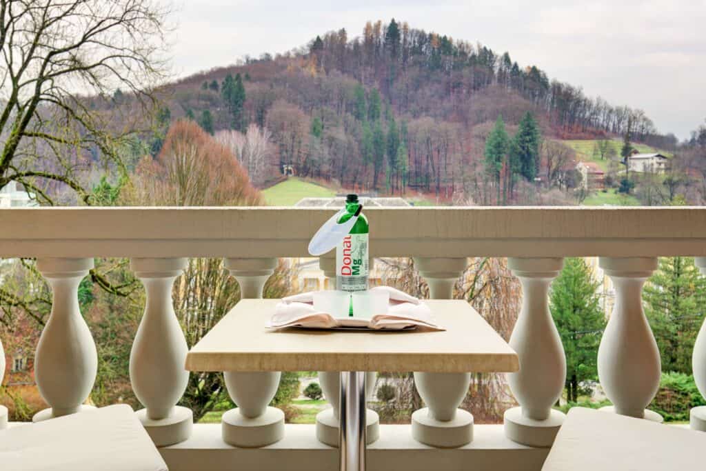 suitepark balcony2 - Royal suite